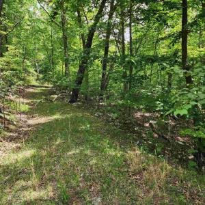 Photo #3 of 39V HIGH VALLEY DR, MONTEREY, VA 5.0 acres