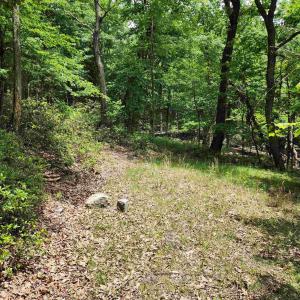 Photo #4 of 39V HIGH VALLEY DR, MONTEREY, VA 5.0 acres