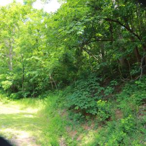 Photo #1 of 1757 BLACK WALNUT DR, NELLYSFORD, VA 4.1 acres