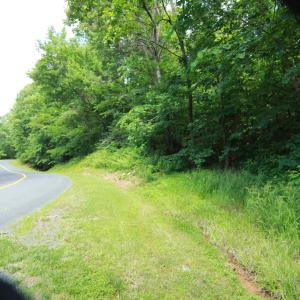 Photo #2 of 1757 BLACK WALNUT DR, NELLYSFORD, VA 4.1 acres
