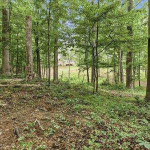 Photo #10 of 615 HALF MILE BRANCH RD, CROZET, VA 5.0 acres
