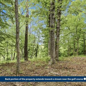 Photo #17 of 615 HALF MILE BRANCH RD, CROZET, VA 5.0 acres