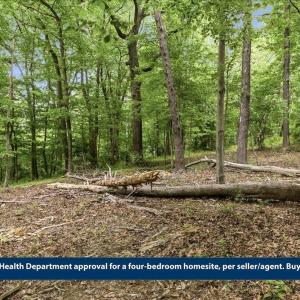 Photo #15 of 615 HALF MILE BRANCH RD, CROZET, VA 5.0 acres