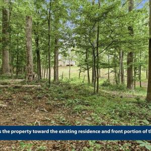 Photo #16 of 615 HALF MILE BRANCH RD, CROZET, VA 5.0 acres
