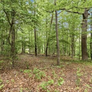 Photo #11 of 615 HALF MILE BRANCH RD, CROZET, VA 5.0 acres