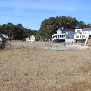 Photo #8 of 935 SAILORS, GREENBACKVILLE, VA 60.0 acres