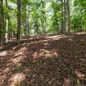 Photo #27 of 31 FAIRWOOD PL, PALMYRA, VA 1.4 acres