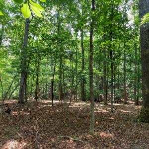 Photo #18 of 31 FAIRWOOD PL, PALMYRA, VA 1.4 acres