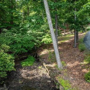Photo #24 of 31 FAIRWOOD PL, PALMYRA, VA 1.4 acres