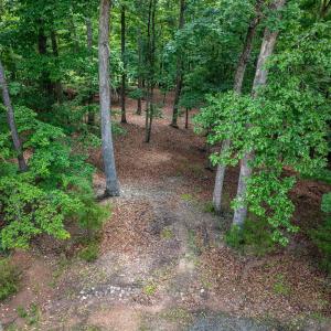 Photo #13 of 31 FAIRWOOD PL, PALMYRA, VA 1.4 acres