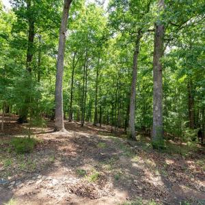 Photo #15 of 31 FAIRWOOD PL, PALMYRA, VA 1.4 acres