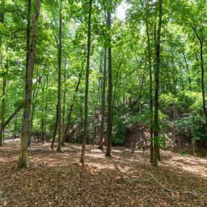 Photo #19 of 31 FAIRWOOD PL, PALMYRA, VA 1.4 acres