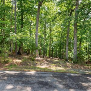 Photo #14 of 31 FAIRWOOD PL, PALMYRA, VA 1.4 acres