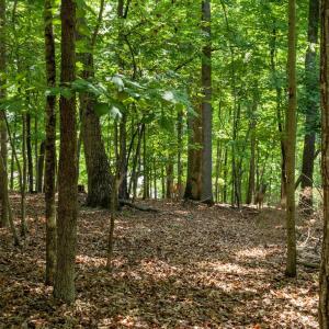 Photo #17 of 31 FAIRWOOD PL, PALMYRA, VA 1.4 acres