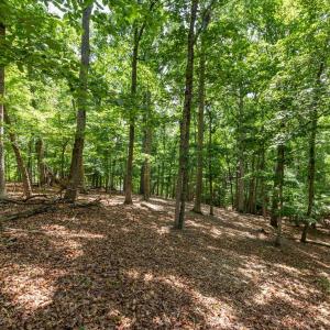 Photo #16 of 31 FAIRWOOD PL, PALMYRA, VA 1.4 acres