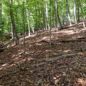 Photo #25 of 31 FAIRWOOD PL, PALMYRA, VA 1.4 acres