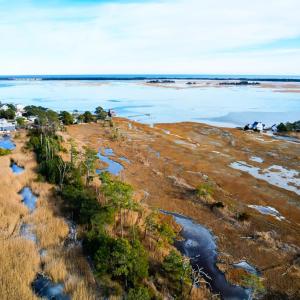 Photo #6 of PINE TREE WAY, CHINCOTEAGUE, VA 0.3 acres