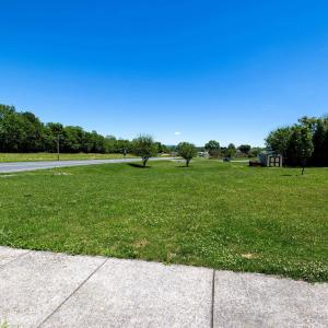 on front of lot and partially on Rt259 side.