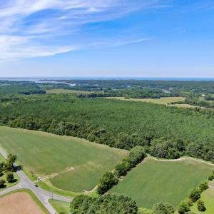 Photo #13 of Boston NONE, PAINTER, VA 193.7 acres