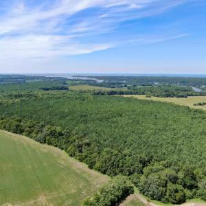 Photo #14 of Boston NONE, PAINTER, VA 193.7 acres