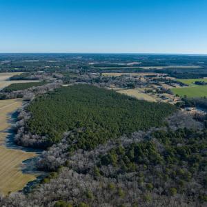 Photo #4 of Boston NONE, PAINTER, VA 193.7 acres