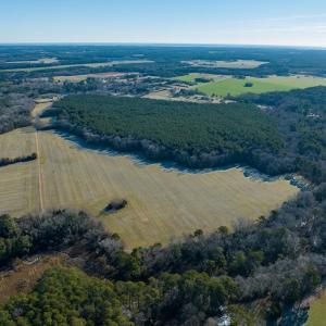 Photo #6 of Boston NONE, PAINTER, VA 193.7 acres