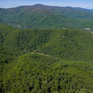 Photo #7 of Lot E BROKENBACK MOUNTAIN RD, DYKE, VA 22.0 acres