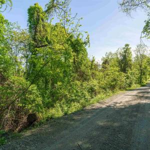 Photo #2 of Lot E BROKENBACK MOUNTAIN RD, DYKE, VA 22.0 acres