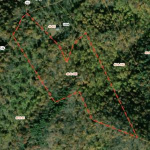Photo #8 of Lot E BROKENBACK MOUNTAIN RD, DYKE, VA 22.0 acres