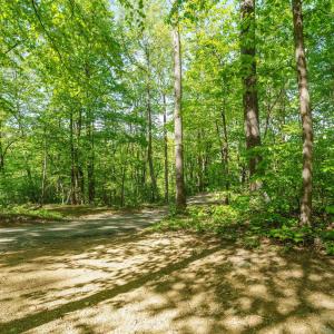 Photo #3 of Lot E BROKENBACK MOUNTAIN RD, DYKE, VA 22.0 acres