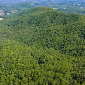 Photo #7 of Lot C BROKENBACK MOUNTAIN RD, DYKE, VA 24.1 acres