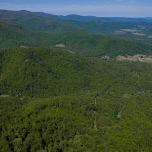 Photo #10 of Lot C BROKENBACK MOUNTAIN RD, DYKE, VA 24.1 acres