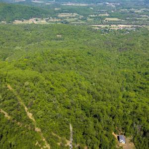 Photo #4 of Lot C BROKENBACK MOUNTAIN RD, DYKE, VA 24.1 acres