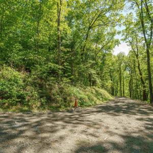 Photo #2 of Lot C BROKENBACK MOUNTAIN RD, DYKE, VA 24.1 acres