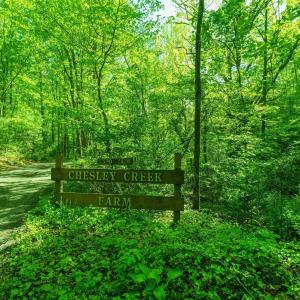 Photo #3 of Lot C BROKENBACK MOUNTAIN RD, DYKE, VA 24.1 acres