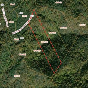 Photo #11 of Lot C BROKENBACK MOUNTAIN RD, DYKE, VA 24.1 acres