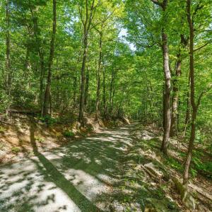 Photo #13 of Lot A BROKENBACK MOUNTAIN RD, DYKE, VA 23.3 acres
