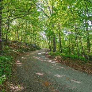 Photo #12 of Lot A BROKENBACK MOUNTAIN RD, DYKE, VA 23.3 acres
