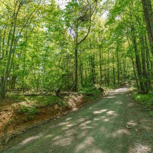 Photo #11 of Lot A BROKENBACK MOUNTAIN RD, DYKE, VA 23.3 acres
