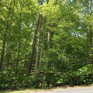 Photo #3 of 717 JEFFERSON DR, PALMYRA, VA 0.5 acres