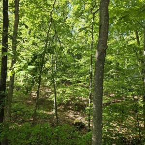Photo #1 of 717 JEFFERSON DR, PALMYRA, VA 0.5 acres