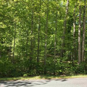 Photo #2 of 717 JEFFERSON DR, PALMYRA, VA 0.5 acres