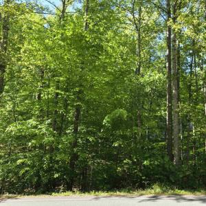 Photo #4 of 717 JEFFERSON DR, PALMYRA, VA 0.5 acres