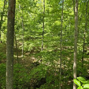 Photo #7 of 717 JEFFERSON DR, PALMYRA, VA 0.5 acres