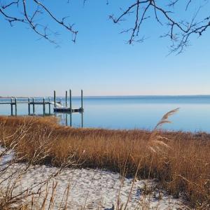 Photo #10 of 7 BAYVIEW LN, ATLANTIC, VA 34,929.0 acres