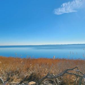 Photo #12 of 7 BAYVIEW LN, ATLANTIC, VA 34,929.0 acres