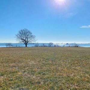 Photo #3 of 7 BAYVIEW LN, ATLANTIC, VA 34,929.0 acres