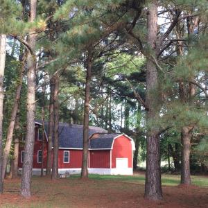 Photo #4 of * AZALEA LN, NEW CHURCH, VA 1.8 acres