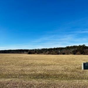 Photo #10 of 22 SEAVIEW ST, ACCOMAC, VA 3.0 acres