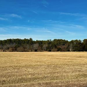 Photo #11 of 22 SEAVIEW ST, ACCOMAC, VA 3.0 acres